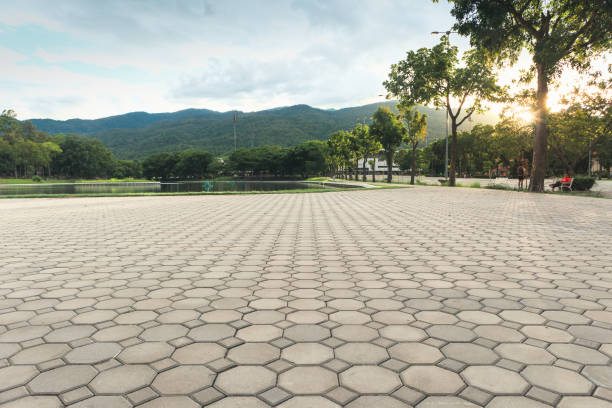 Best Permeable Paver Driveway  in Lumbine Valley, CO