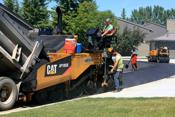 Best Custom Driveway Pavers  in Lumbine Valley, CO